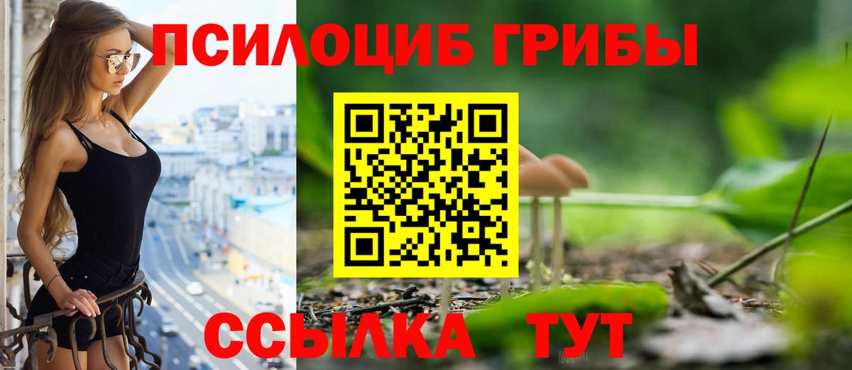 где купить   Галлюциногенные грибы MAGIC MUSHROOMS  Вход с VPN  Алапаевск 